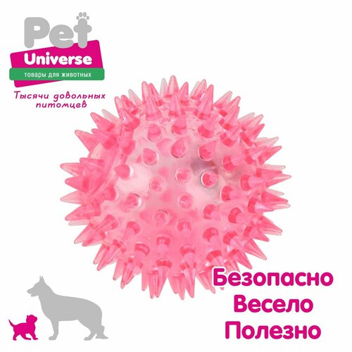     Pet Universe    ,  6,5 , ,  PU3048PK   -     , -  