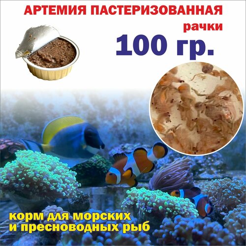 ���� ������� ��������������� ����� 100 ��./ ���� ��� ������� � ������������ ����������� ���, ������ ������