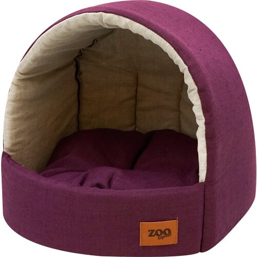 ���� ��� ��� ����� � ����� ZOOexpress ������� ������ �1, 35�31�31 ��, ������������, ������ ������