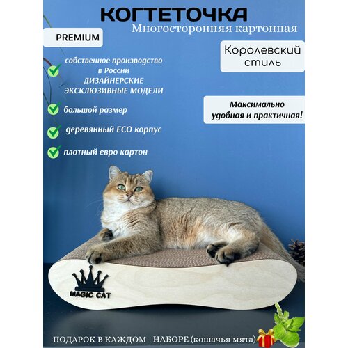 ���� ���������� ��� ����� ��������� MAGIC PRO, ������ ������