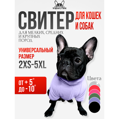 ���� ��������� ��� ����� � ����� 