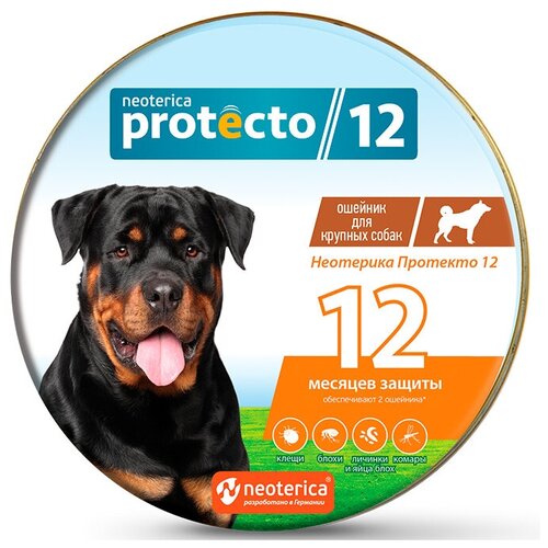  Protecto (Neoterica)     , 2    -     , -,   