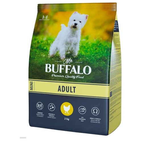  Mr.Buffalo Adult Mini () 1 -800           -     , -,   