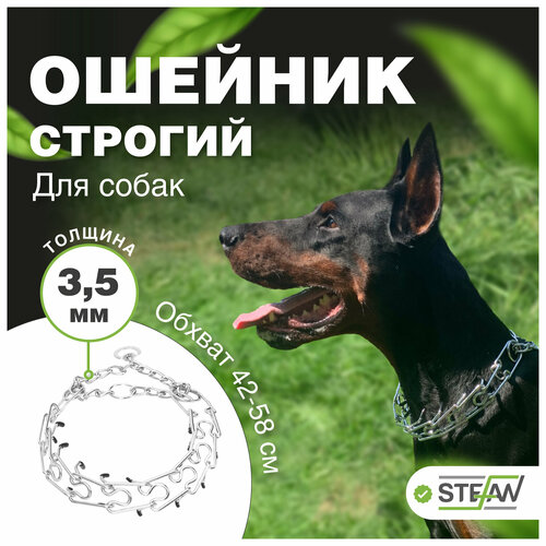 ���� ������� ������� ��� ����� ����� STEFAN (������), XL, SC2-4060, ������ ������