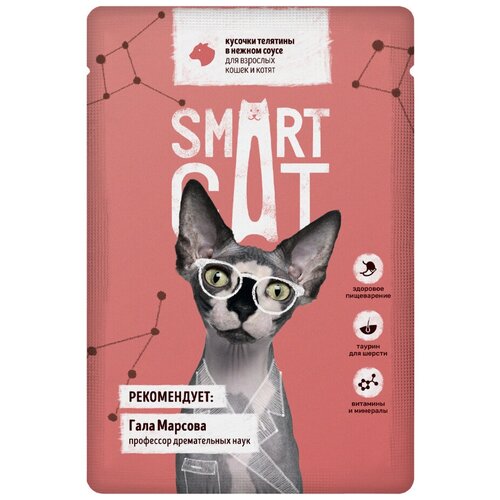  Smart Cat -      ,   , 85  pp59995  25    -     , -,   