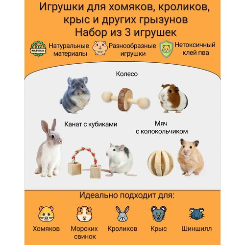 ���� ������� ��� ��������, ������ ������