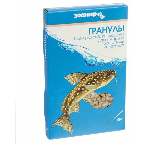 ���� ���� ��� ��� � �������� 