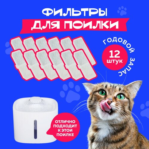 ���� ������ ��� ������ ��� ����� / ����� ������� �������� ��� ������� ��� ����� � �����, ������ ������