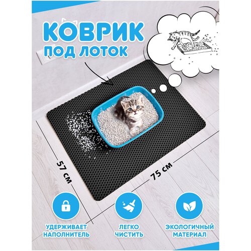 ���� ������ ��� ����� ��� �����/������ ��� ����� ��� ����� / ������ ��� ����� / ������ ��� ������� (������) 75*57��, ������ ������