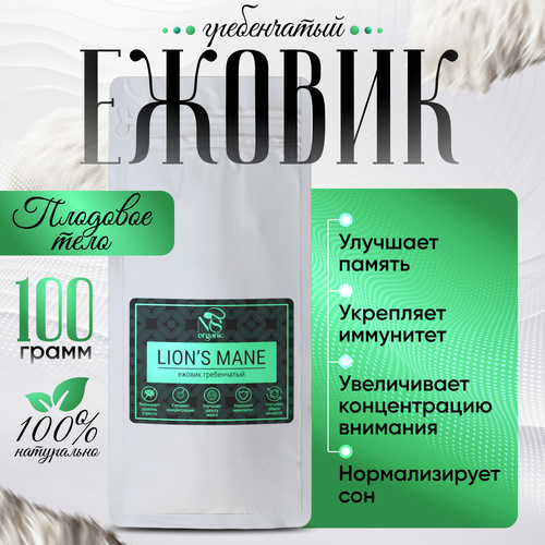   ,  lions mane,  100 .   -     , -  