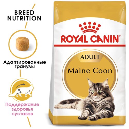  Royal Canin RC  --: 1-10 (aine Coon 31) 25500040R0 0,4  21156 (2 )   -     , -,   