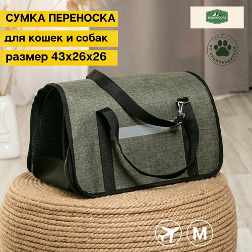 ���� ��������� ��� ����� � �����, ������ ������