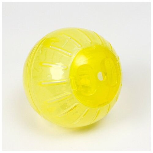 ���� ����������� ��� ��� �������� ����� 6980818 10�10�10  ��, ������ ������