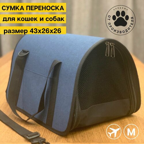 ���� ��������� ��� ����� � �����, ������ ������