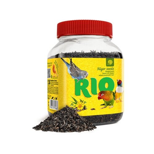  RIO 250         2    -     , -,   