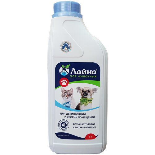 ���� ������ ������ �������� ����� ��������������� , 1 � , 1 ��, ������ ������