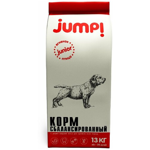      jump! Duo,     , ,  13    -     , -,   