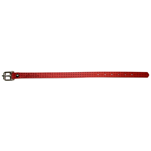 ���� ��� ����������� ������������� ������� ����� ��������, �������� F1 (�14�), ����� �������� 31 ��, ������ ��� 22-29 ��, �������, S, ������ ������