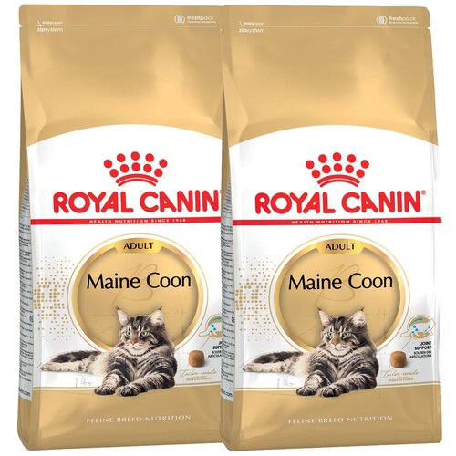      Royal Canin Maine Coon Adult          15   12  2 .  10000  (  )   -     , -  