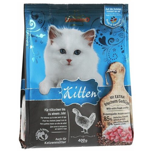    Leonardo Kitten   - 7,5    -     , -,   