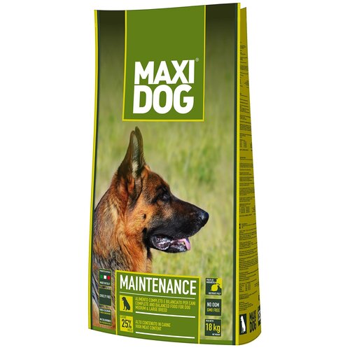  Maxi Dog   Maxi Dog Maintenance      18  ()   -     , -,   