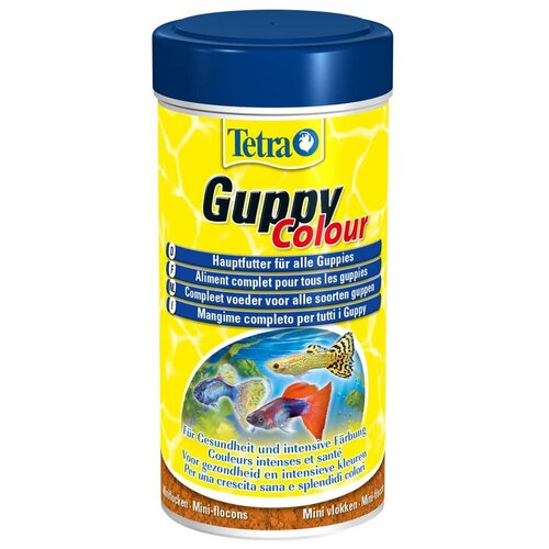       ,  Tetra Guppy Colour, 250 , 75    -     , -  