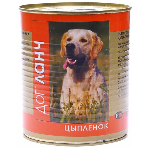      Dog Lunch  1 .  2 .  750    -     , -  