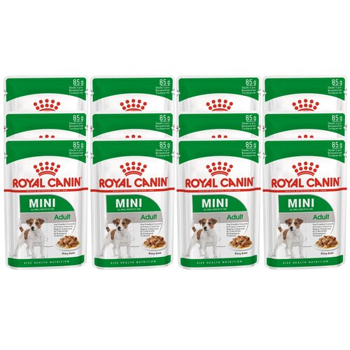      Royal Canin Mini Adult Pouch 1 .  12 .  85    -     , -  