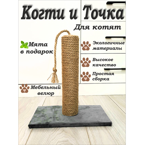 ���� ���������� ��� ����� ������� Katoo �����, ������ ������