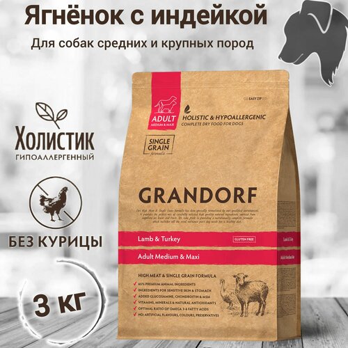  Grandorf    3 .        1 . , .   -     , -  