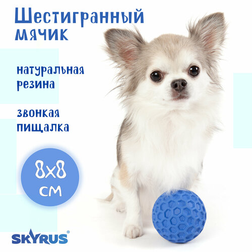  SkyRus     