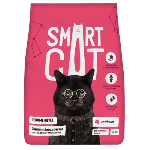      Smart Cat   12000    -     , -  