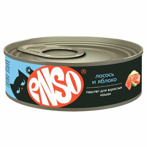       ENSO      100    -     , -  