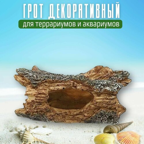 ���� ��������� 