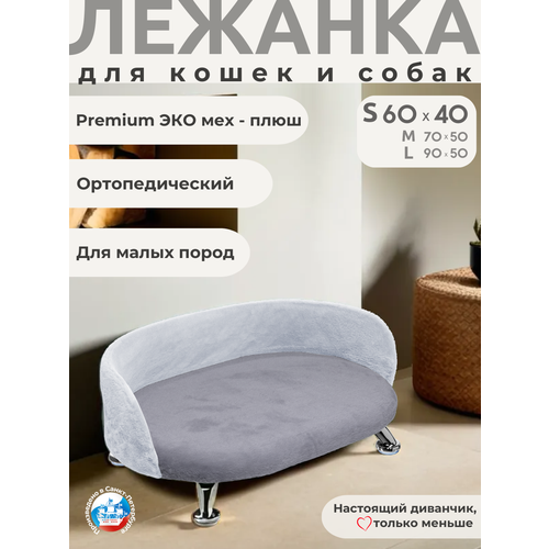 ���� ������� ��� ����� � ����� ������ � ������� ����� Chauzi 