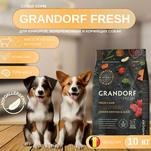    GRANDORF Fresh DOG JUNIOR Lamb&Sweet Potato        , 10    -     , -  