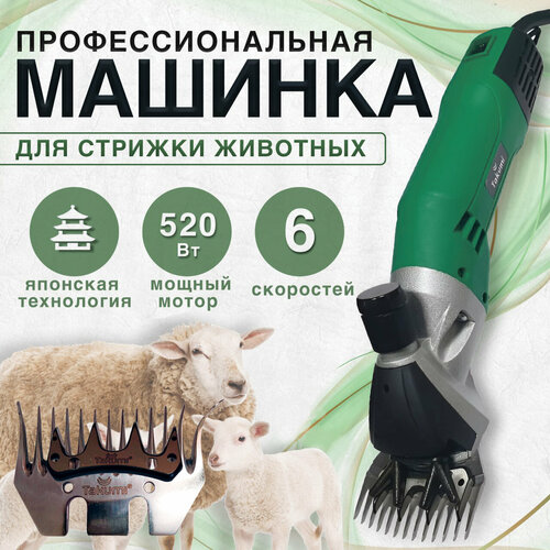 ���� ���������������� ������� ��� ������� ���� ������������� � ��������� ����� Takumi 520 (6 ���������, 520 ��) + ���. �������� + ������ ��� ���������, ������ ������