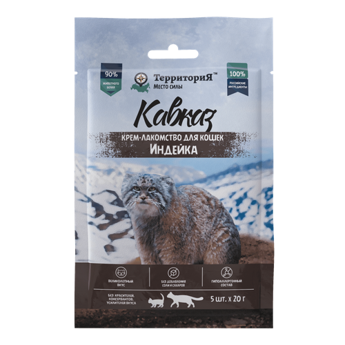 ���� ���������� 