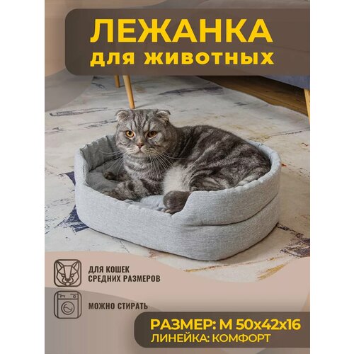 ���� ������� ��� ����� � ����� ������� ����� �� �������, ������ ������