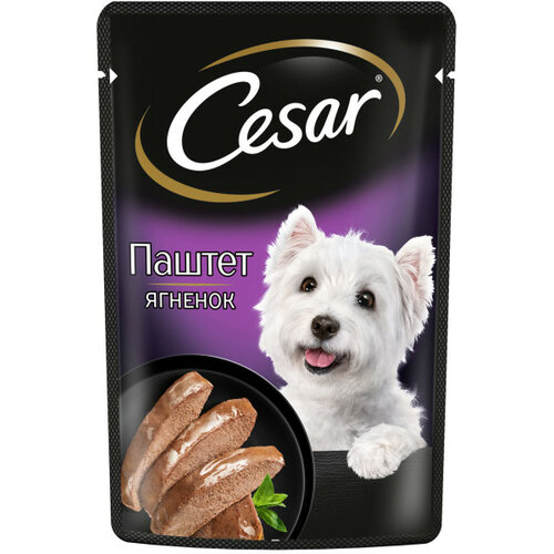      Cesar    1 .  80  (  )   -     , -  