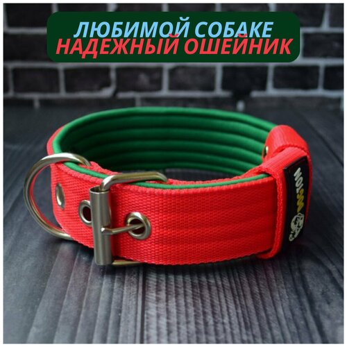 ���� ������� ��� �����. ������ 4.5 ��. ������ �������. ������� ���������., ������ ������