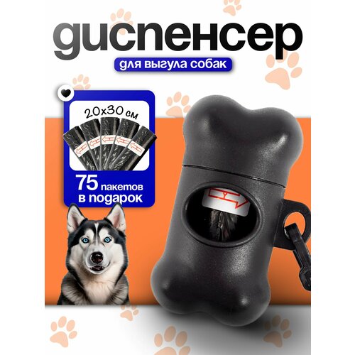 ���� ��������� � ������ ��� ������, ������ ������