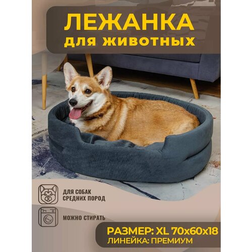 ���� ����� ��� ����� � ����� �������, �����, ������ ������