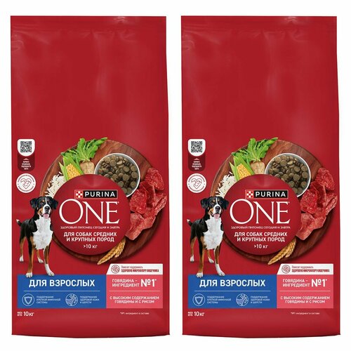   210 Purina One 10          10    -     , -  