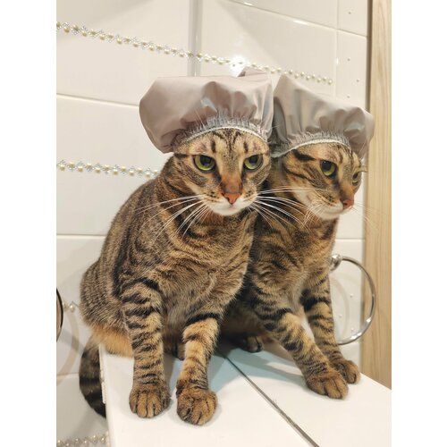 ���� ����� ��� ����� � �����, ��� ����, ������ ������