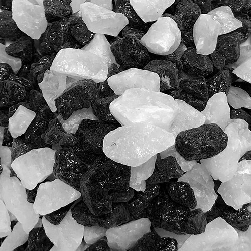 ���� ����������� ����� ��� ��������� ����������, ��� ����������� � ��������, Zoo One, ��������� ��������, 