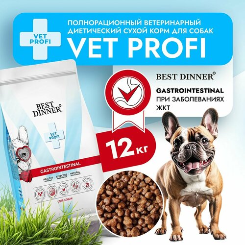        Vet Profi Gastro Intestinal       , 12  Best Dinner ( )   -     , -  