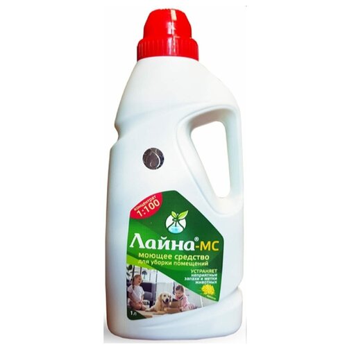 ���� ������ �������� ����� �������� ��������������� ����� �� � ������� ������ (����������) , 1 � , 1 ��, ������ ������