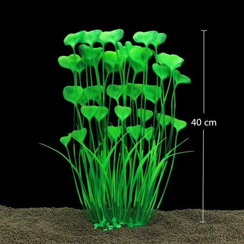 ���� �����������, ������������� �������� 40 ��, ������ ������