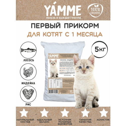    YAMME     5      -     , -  